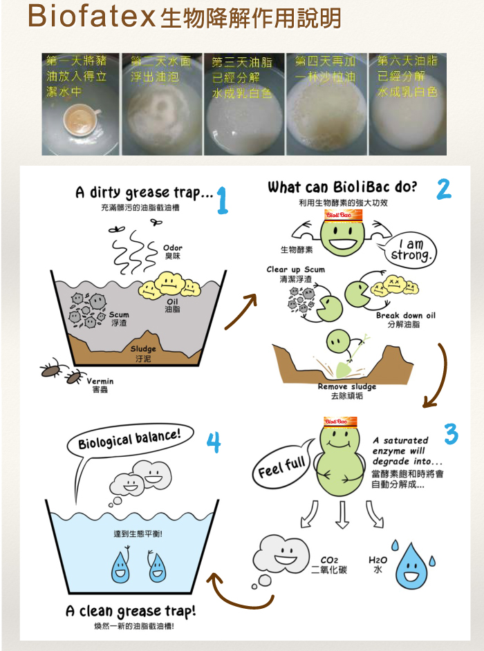 德國Biofatex Bioli Bac得立潔酵素作用原理